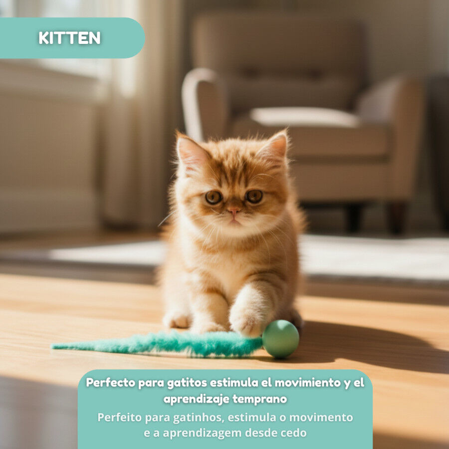 Tootoy! Kitten Bola Saltitante, , large Imagem n&uacute;mero 5